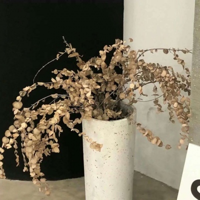 Furry插画元素技巧FurryQQ群